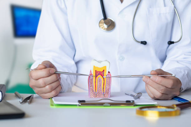 Best Emergency TMJ Treatment in Frent Hills, MO